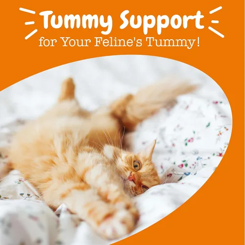 Vista 6 de Zesty Paws Probióticos para Gatos - Complemento en Polvo para la Comida para la Digestión y el Soporte del Sistema Inmunológico del Bioma Felino
