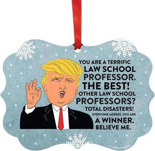 Vista 90 de Andaz Press Presidente Donald Trump Fancy Frame Recuerdo Adorno de Navidad Regalo de broma Ejecutivo de Cuenta, 1 paquete, Divertidas Ideas