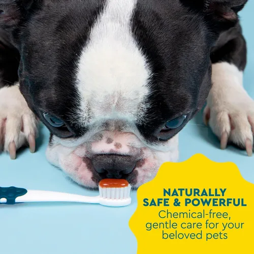 Vista 6 de RADIUS USDA - Pasta dental orgánica canina para mascotas, 1 unidad, 3 onzas, pasta dental no tóxica para perros, diseñada para limpiar los dientes