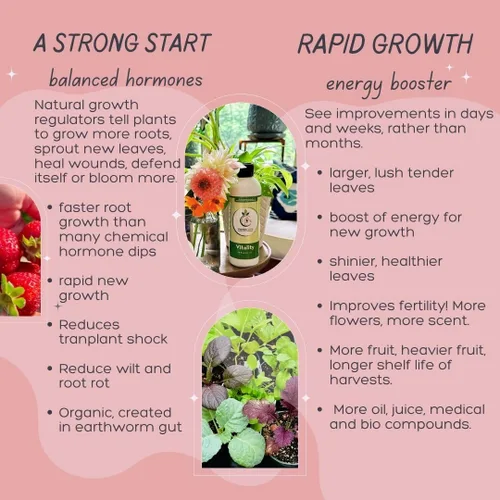 Vista 5 de VermisTerra Vitality - Alimento para plantas de interior y plantas de interior, fertilizante equilibrado de la madre tierra, orgánico, esquejes
