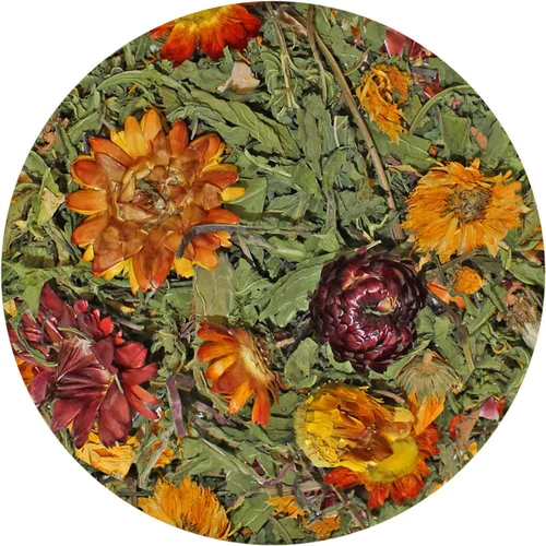 Vista 2 de Exotic Nutrition Pasture Plus+ Delicacy de diente de león – Premio natural saludable de flores secas de alta fibra – Conejillos de Indias, conejos