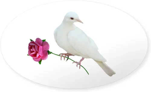 Vista 22 de CafePress Pegatina rectangular de espíritu santo para parachoques de coche ovalada Blanco - Pegatina Rectángulo Espíritu Santo