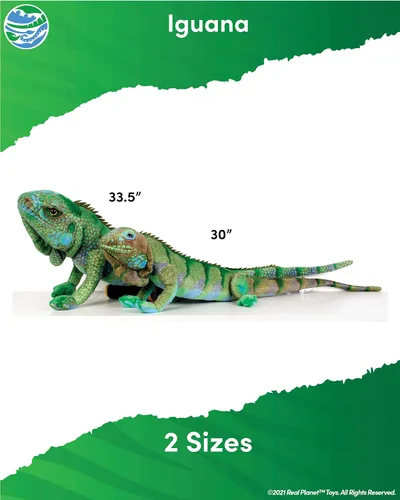 Vista 3 de Real Planet Animal de peluche de iguana de 30 pulgadas, lagarto realista de iguana azul para niños, más de 2 pies de largo, animales salvajes