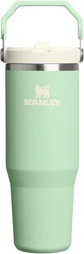 Vista 72 de STANLEY IceFlow 2.0 - Vaso con pajilla abatible con asa, 30 onzas, tapa giratoria y popote abatible, botella de agua a prueba de fugas, acero Tiza