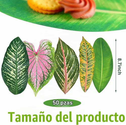 Vista 2 de Kisston Hojas de papel pergamino para tabla de quesos 8.7 hojas de queso