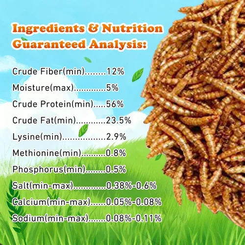 Vista 3 de Amzey Gusanos secos de harina de 2 libras, gusanos de comida 100% naturales para pollo y pájaros, alimento orgánico para gallinas ponedoras, alto