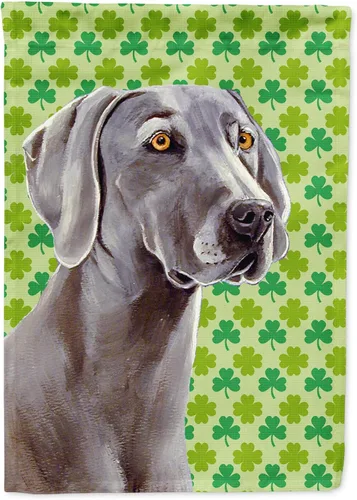 Vista 42 de Caroline's Treasures SS4442GF Affenpinscher Bandera de jardín con retrato de trébol del día de San Patricio para buzón, bandera decorativa