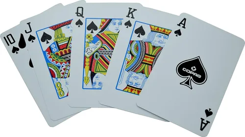 Vista 6 de WSOP Juego de 2 mazos auténticos repartidos en 2017 usados Copag Plastic Playing Cards Bridge Standard Index
