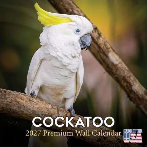 Vista 242 de Calendario de grises africanos 2025 2026 – Planificador mensual de pared de aves africanas – 12 x 18 pulgadas (abierto), calendario de pared