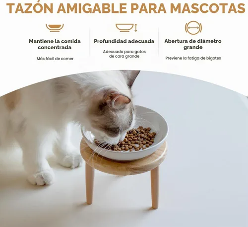 Vista 5 de Havniva - Juego de cuencos elevados para gatos, comida y agua, cuenco de cerámica para gatos Raised Cat Food Bowls, Whisker Friendly, 5.6” Shallow