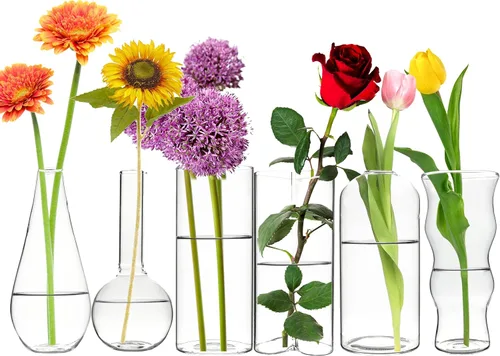 Vista 14 de CYS EXCEL Juego de 6 jarrones de cristal pequeños, pequeños jarrones de flores transparentes para centros de mesa de boda, decoración de mesa