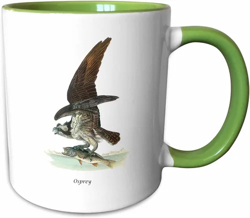 Vista 15 de 3dRose, Taza negra bicolor de 11 oz, negro/blanco