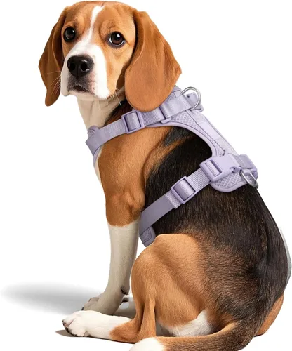 Vista 8 de Wisedog Arnés para perro de tamaño mediano, chaleco para mascotas con clip frontal, arnés ajustable para cachorro con 3 hebillas de liberación