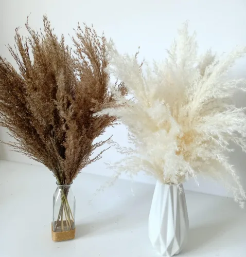 Vista 3 de Hierba seca de junco grande, ramo bohemio náutico para decoración del hogar, hierba de pampa esponjosa para decoración de centros de mesa de boda