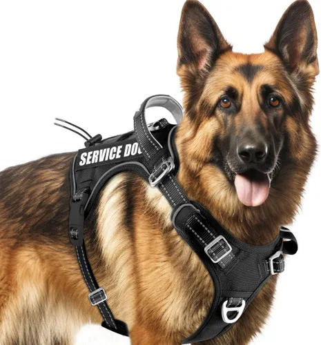 Vista 18 de BARKBAY Chaleco táctico para perro, arnés ajustable reflectante K9, de fácil control, sistema militar Molle para perro, sin tirones, color negro