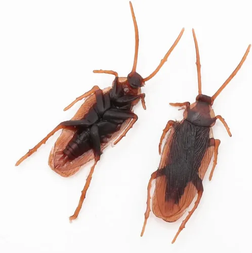 Vista 2 de Cooplay 30 piezas de broma falsos de cucaracha cucaracha insectos, broma, broma, trucos aterradores para fiesta de Halloween, día de los inocentes