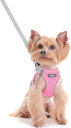 Vista 70 de rabbitgoo Arnés para perro de tamaño pequeño y juego de correa, chaleco Cachorros de manzana
