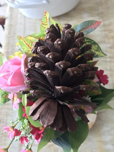 Vista 3 de PineCones - Paquete alto a granel, totalmente naturales, piñas grandes y piñas de pino naturales perfectas para adornos colgantes de Navidad