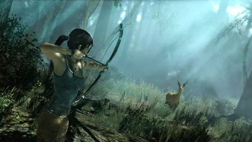 Vista 25 de Tomb Raider