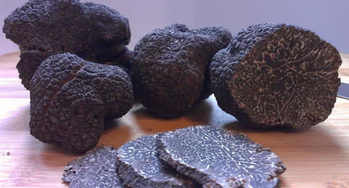 Vista 8 de Setas de trufa negra sin OMG para plantar esporas de desove de micelio