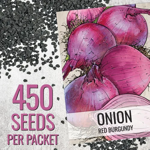 Vista 3 de Seed Needs Semillas de cebolla roja borgoña para plantar reliquia y sin OMG, 1 paquete