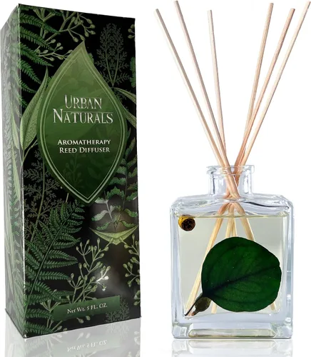 Vista 18 de Urban Naturals Balsam Forest - Juego de aceites difusores de varillas – Abeto Fraser, hoja perenne, pino, cedro leñoso y sándalo – Botella de vidrio