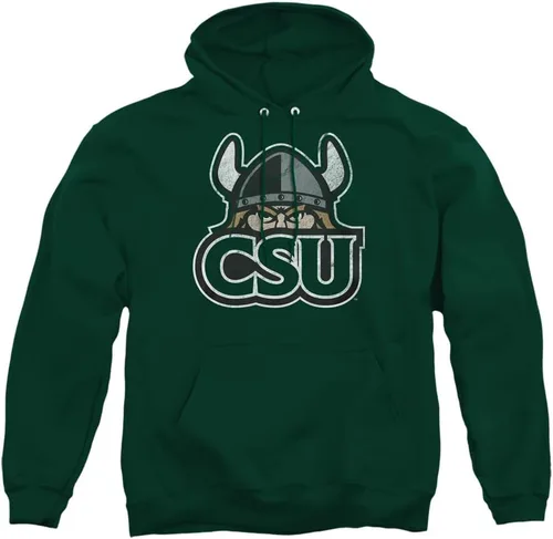 Vista 164 de Distressed College Primary Logo Adult Pullover Hoodie Collection 1 Universidad Estatal de Albany