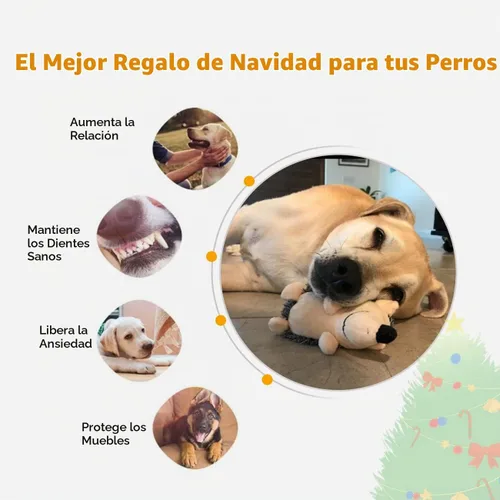 Vista 6 de CPYOSN Juguetes Chirriantes para Perros, Juguetes de Peluche Rellenos Crujientes Duraderos para Masticar para Perros, para la Dentición