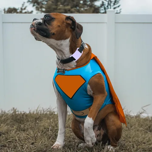 Vista 2 de Soporte de silicona para collar de perro para Tile Mate 2020 y 2018, verde Aguacate verde y morado