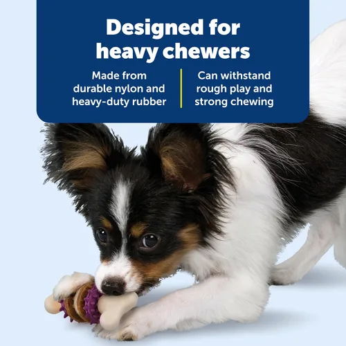 Vista 4 de PetSafe Busy Buddy Bristle Bone - Hueso de Cerdas - Juguete Duradero para Masticar para Perros con Cerdas y Protuberancias de Goma para la Salud