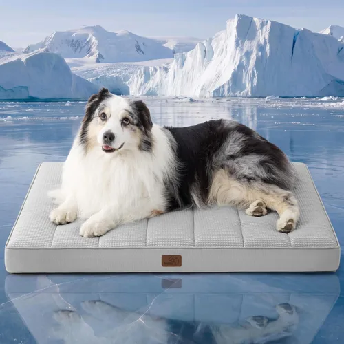 Vista 29 de Bedsure - Cama ortopédica pequeña para perros chicos, impermeable, con funda extraíble lavable, tapete de espuma con forma de huevera para mascotas