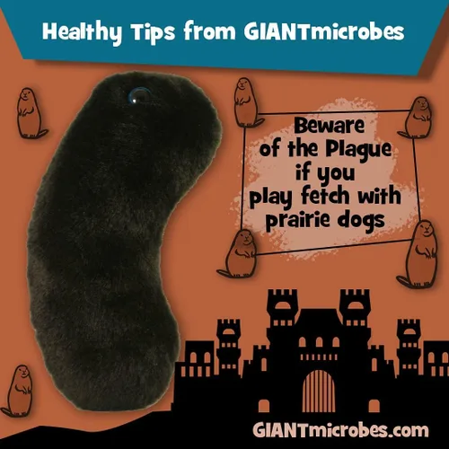 Vista 4 de GIANT MICROBES Black Death (The Plague) Muñeco de peluche - (Yersinia pestis)