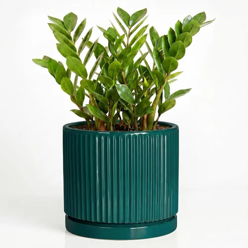Vista 43 de 8 Inch Flower Pot, Ceramic Planters, Round Plant Pot, Beige