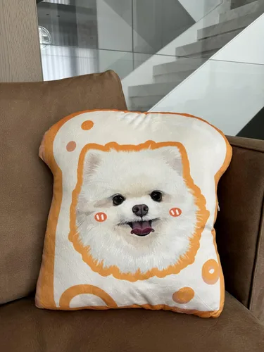 Vista 5 de Almohadas personalizadas para retratos de mascotas con fotos, almohada de perro 3D dibujada a mano, almohada personalizada de cara de gato