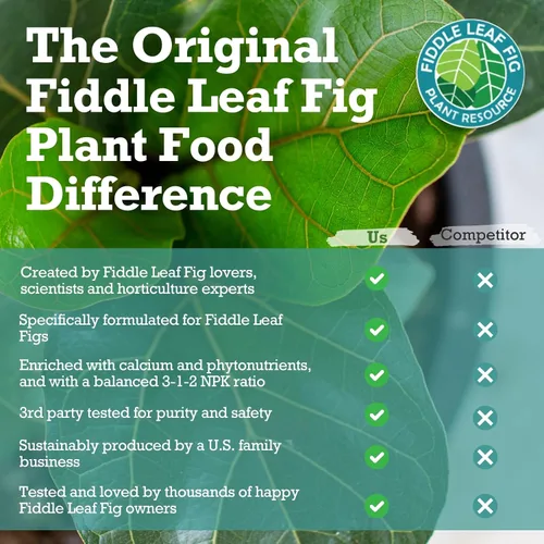 Vista 5 de Fiddle Leaf Fig Plant Food – Fertilizante líquido equilibrado NPK 3-1-2 para hojas más grandes, raíces más fuertes y crecimiento constante