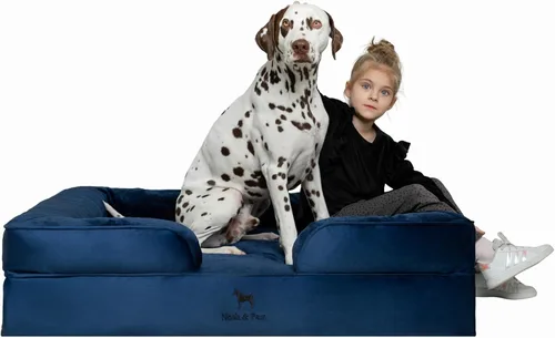 Vista 45 de NOAH & PAW Cama para perros pequeños, 20 x 15 x 8 pulgadas, cama para gatos de interior, espuma viscoelástica ortopédica de cáscara de huevo