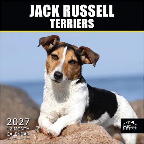 Vista 100 de MICASA PRESS Calendario de pared de Australian Shepherds Aussies 2027 02 - Pastores australianos