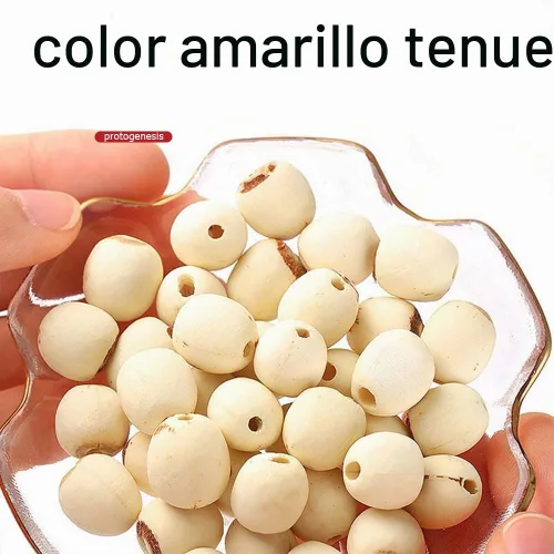 Vista 5 de Semilla de loto blanco seca 10.58oz hueco perfecto para sopa de postre dulce, pasta