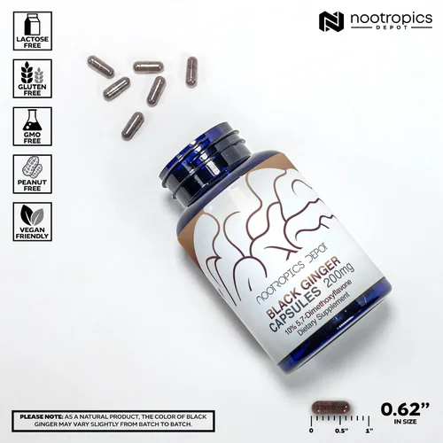 Vista 3 de Nootropics Depot Cápsulas de extracto de jengibre negro 10% 5,7-dimetoxiflavona 60