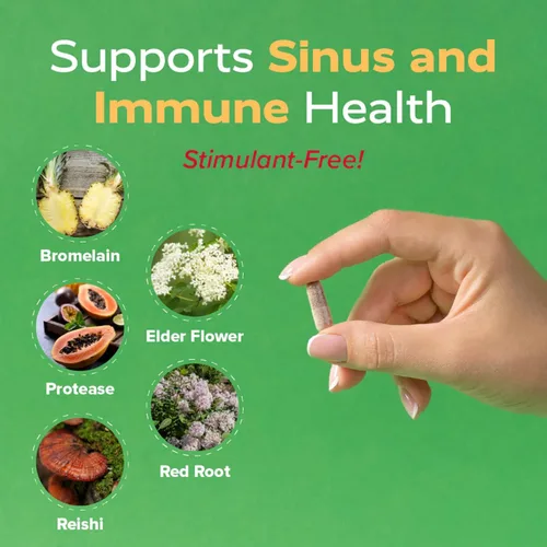 Vista 3 de Redd Remedies SinuZyme Apoya la salud sinusal e inmune 20 porciones