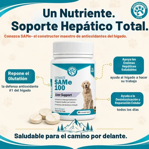 Vista 3 de Wanderfound Pets Same 100 soporte hepático para perros – Mismo suplemento hepático S-adenosil-L-metionina para apoyo hepático y cerebro – Sam E