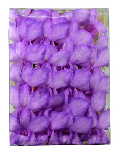 Vista 7 de Miami Fresh Orchid Flower OrchidClub USA Sunne Tropical Cabeza de floración suelta DIY Lei comida bebida decoración púrpura (Queen Purple Sonia 50)