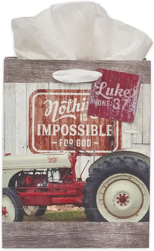 Vista 29 de Christian Art Gifts Bolsa de Regalo Retrato con Etiqueta y Juego de Papel de Seda para Mujeres: Quédate Quieta y Conoce - Salmo 46:10 Versículo