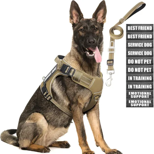 Vista 9 de Juego de arnés táctico y correa para perro de tamaño pequeño, chaleco resistente sin tirones para perro de servicio y 10 parches con cinturón