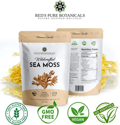 Vista 6 de Wildcrafted Sea Moss – Musgo marino irlandés saludable, musgo marino crudo de rocas y camas marinas de Santa Lucía – 4 oz seco hace 60-80oz Seamoss