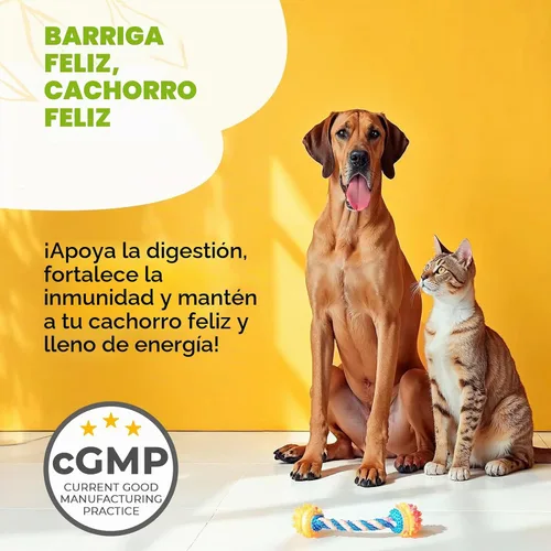 Vista 4 de ZENO Probióticos masticables para perros, 150 piezas, apoyo para la salud digestiva e intestinal, masticables probióticos para perros con enzimas e