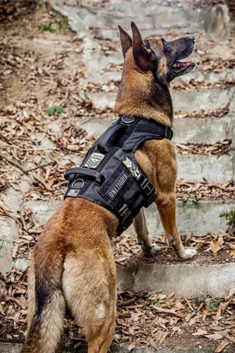 Vista 7 de OneTigris Arnés Táctico para Perros Grandes, Arnés Chaleco para Perros de Servicio Sin Tirones con 5 Hebillas de Metal con Paneles de Gancho