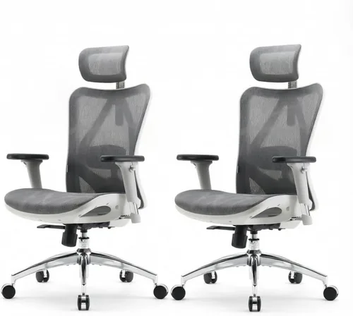 Vista 23 de SIHOO Silla de oficina ergonómica M57, silla de escritorio con respaldo