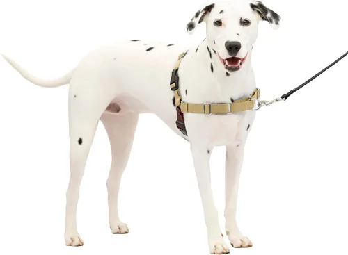 Vista 35 de PetSafe Easy Walk - Arnés para perro, sin tirones, gris carbón Carbón/Negro