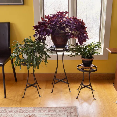 Vista 5 de Soporte para plantas Tara de 24" de alto